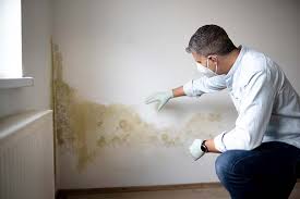 Trusted New Berlin, IL Mold Removal & Remediation Experts